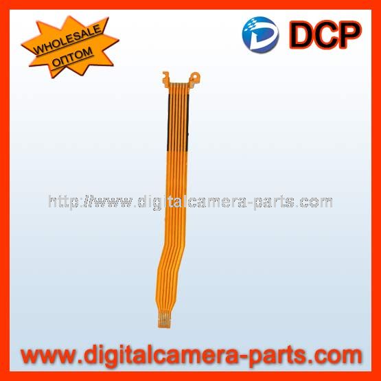 Nikon 24 120 Flex Cable