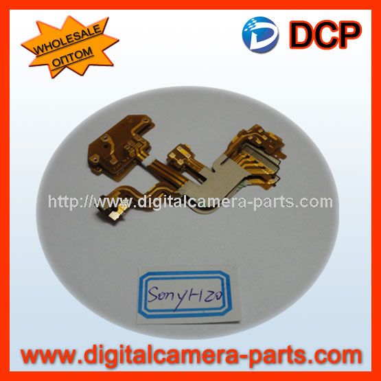 Sony H20 Flex Cable