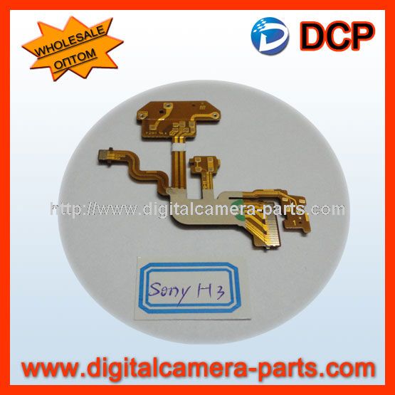 Sony H3 Flex Cable
